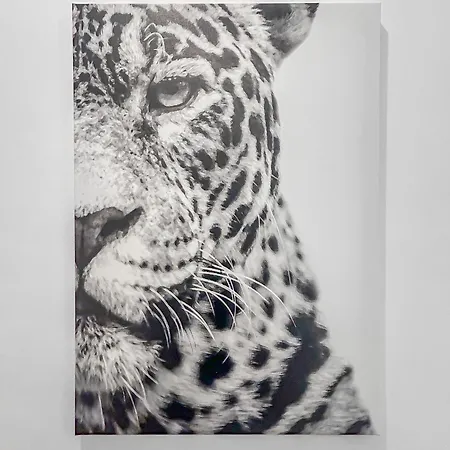 شقة Le Loft De Saintonge